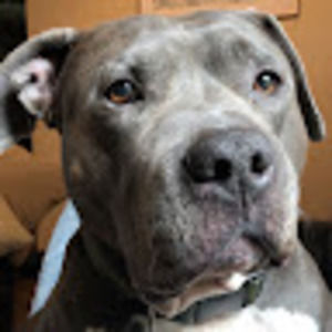 Meet your Posher, Thomas